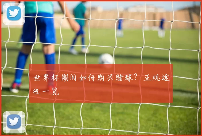 世界杯期间如何购买赌球?正规途径一览