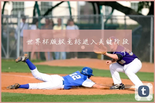 世界杯版权竞标进入关键阶段