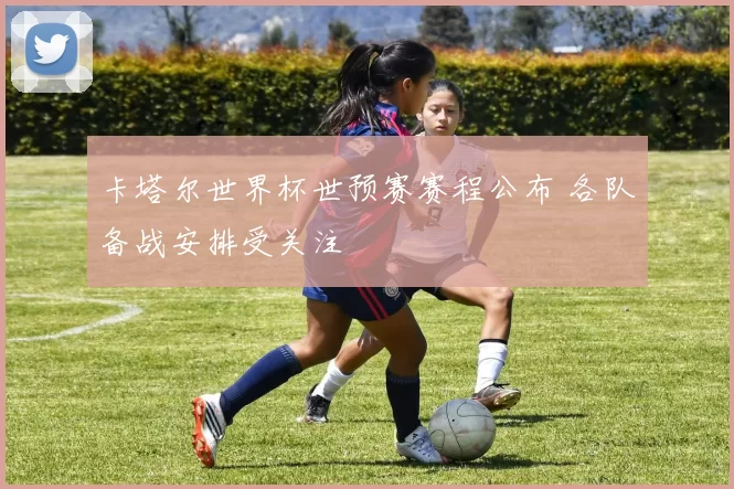 卡塔尔世界杯世预赛赛程公布 各队备战安排受关注