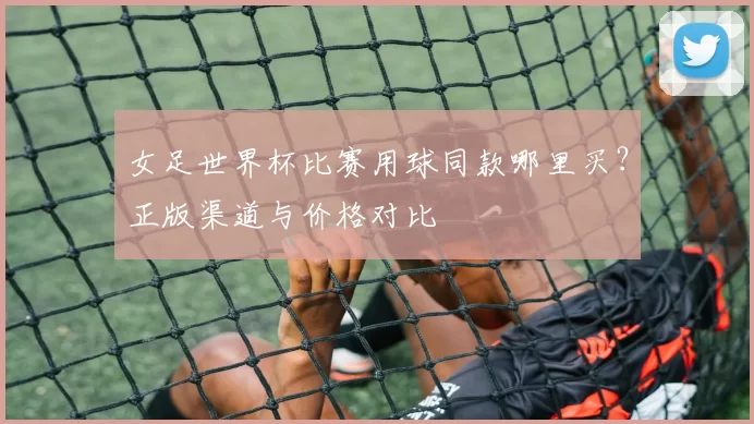 女足世界杯比赛用球同款哪里买?正版渠道与价格对比