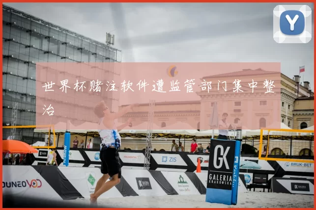 世界杯赌注软件遭监管部门集中整治