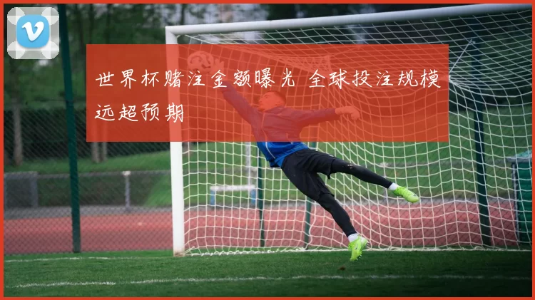 世界杯赌注金额曝光 全球投注规模远超预期